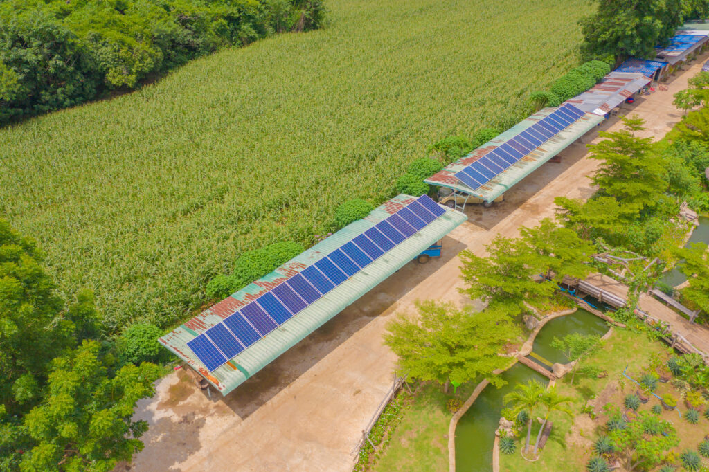 Cell Farm Project Innovative Energy CEO turns to Huawei for smart farming in Jamaica ...